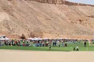 Your Tournament Guide